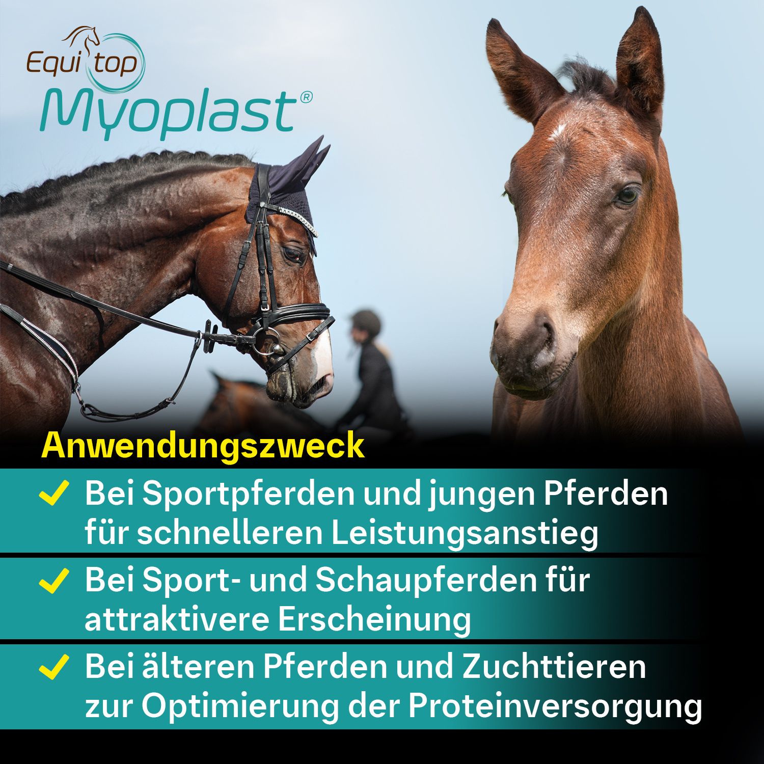 Equitop Myoplast Granulat