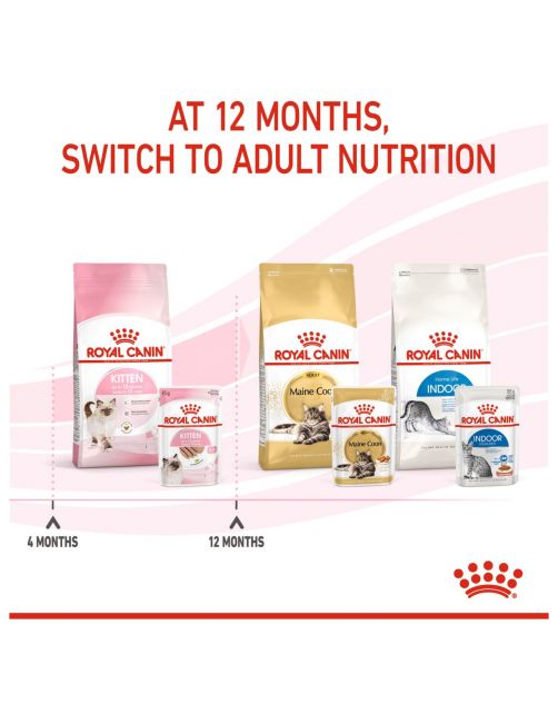 Royal Canin Kitten Loaf - Kitten-Kattenvoer - 85 g