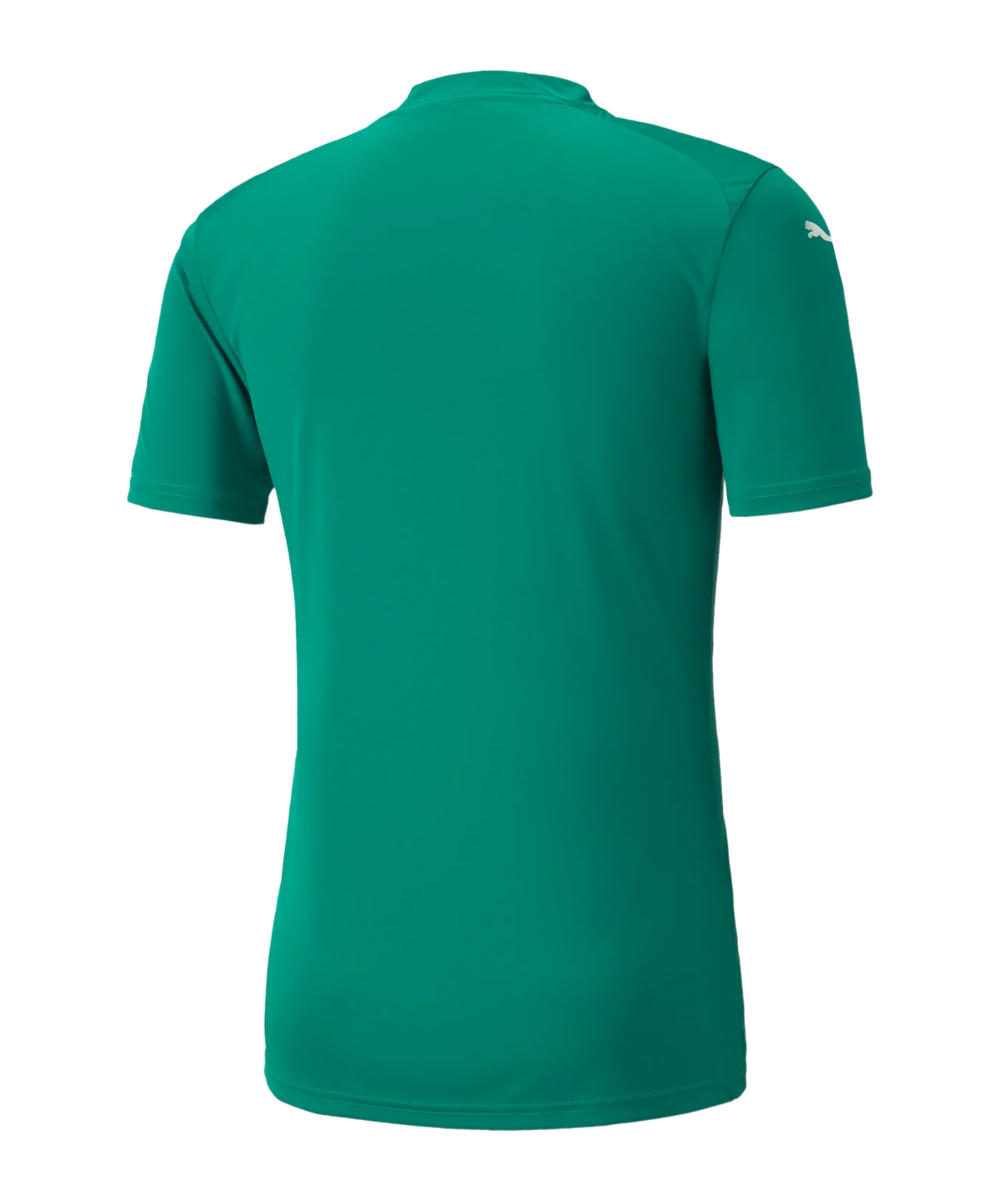PUMA teamGLORY Trikot Kids Grün F05
