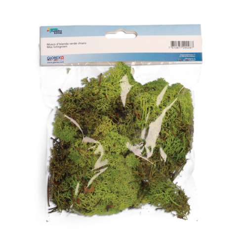 GLOREX Islandmoos