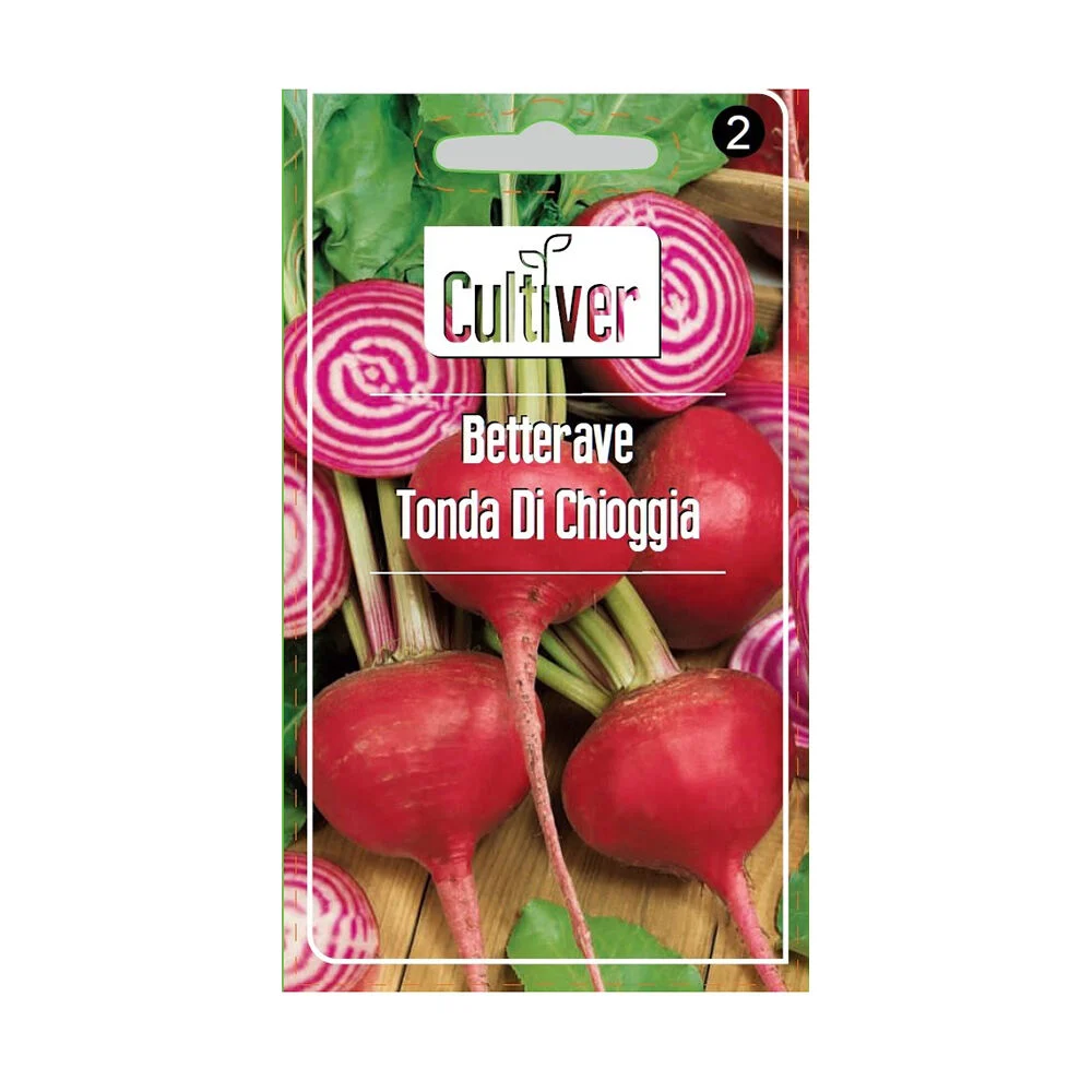Semence de betterave rouge