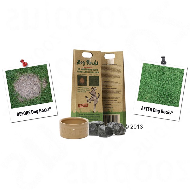 Pierres naturelles Dog Rocks