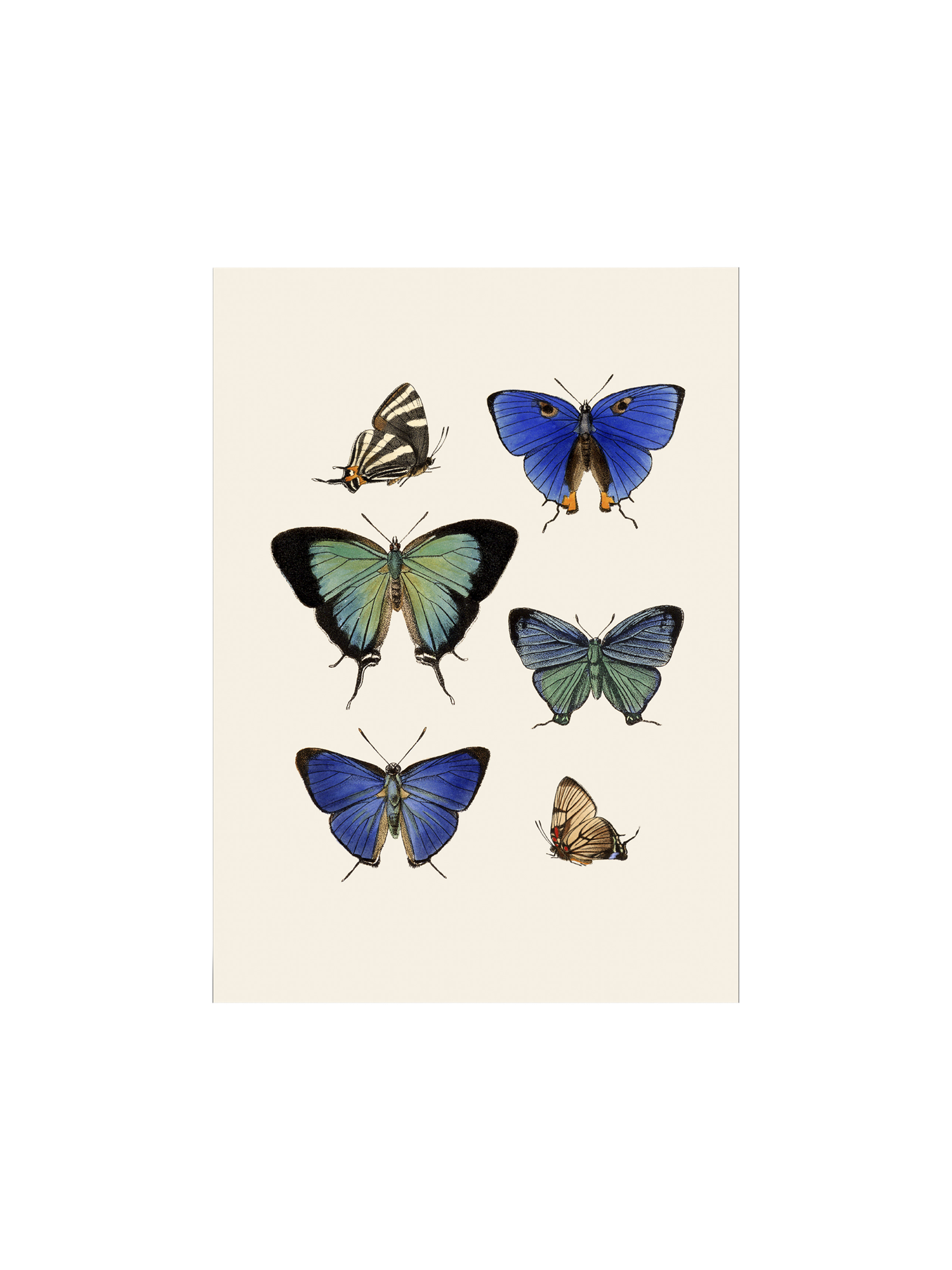 Plakat A3 | Papir. 29,7 x 42 cm.  | Multi | The Dybdahl Co.