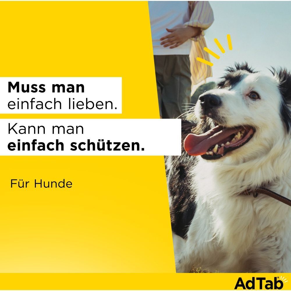 AdTab™ Hund über 1,3 bis 2,5 kg 56 mg