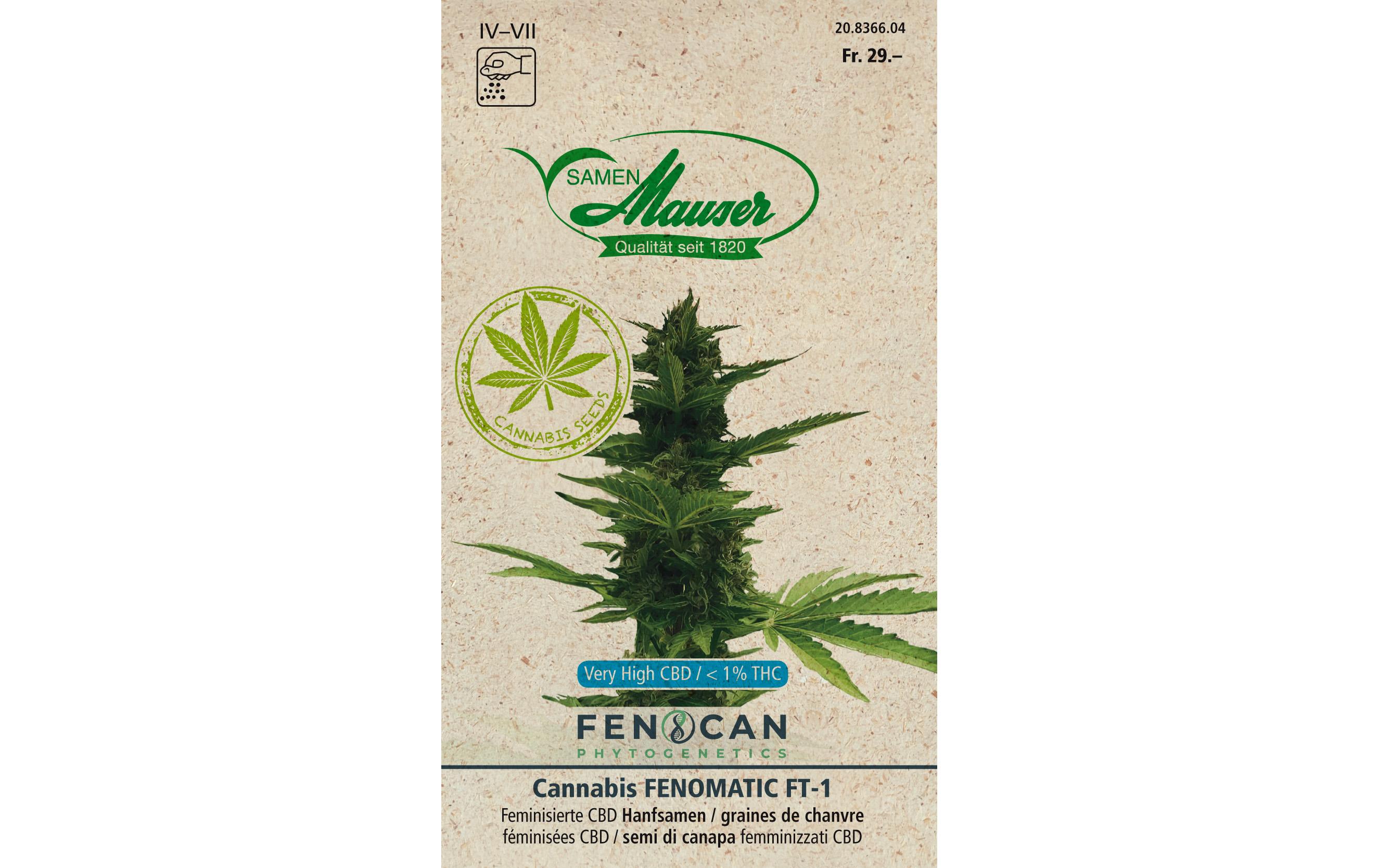Saatgut Cannabis Fenomatic FT-1Blumensamen