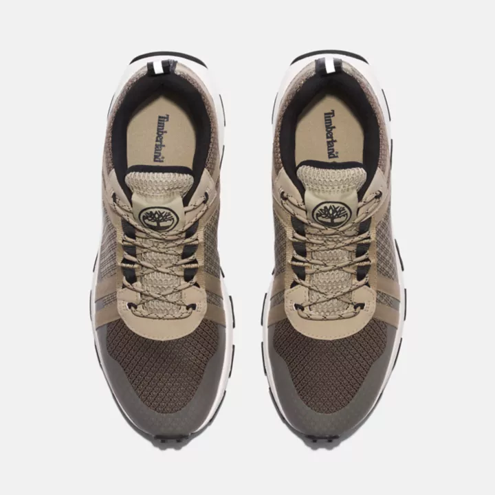 Basket basse à lacets Winsor Trail pour homme en marron clair