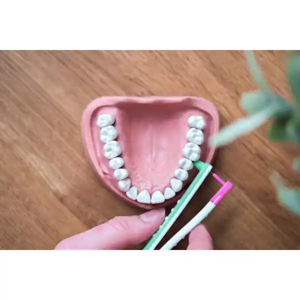 Starter Set Interdentalbürsten Gr.  XS, S, M / L