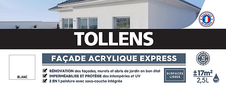 Peinture extérieure façade Tollens express blanc 2,5L