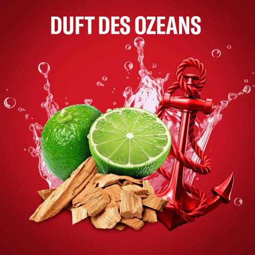 Old Spice Captain 3-in-1 Duschgel & Shampoo für Männer