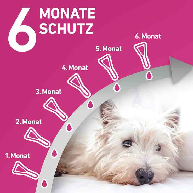 FRONTLINE TRI-ACT gegen Zecke, Floh und fliegende Insekten bei Hunden (2-5kg), 6 St