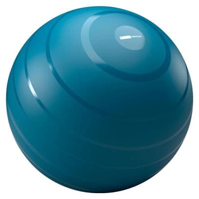 Gym Ball Decathlon Fitness - 65cm