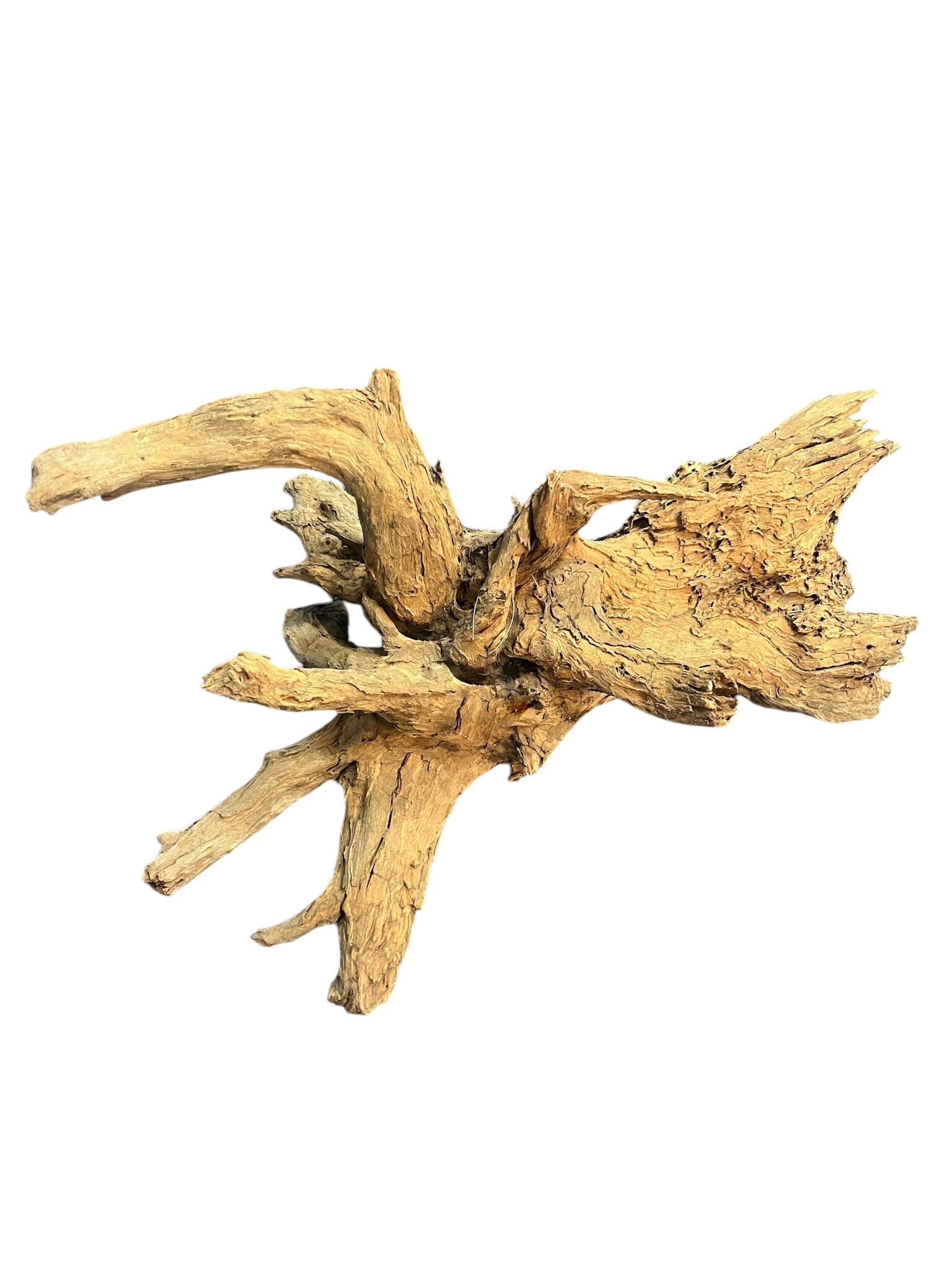 AquastoreXL Corbo Root XL NR05 8,6kg