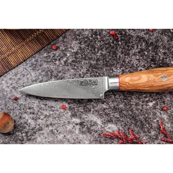 Coffret Wusaki 3 couteaux chef + office + universel Fujiko manche oli