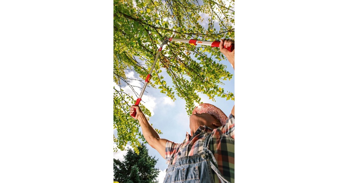 WOLF-GartenTakkenschaar POWER CUT*** RS 900 T  (Rood/grijs)