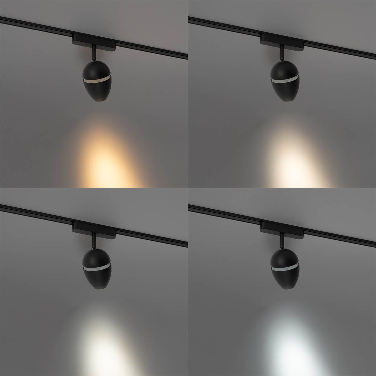 Moderne spot zwart voor railsysteem 1-fase incl. LED - Magnetic Eggy