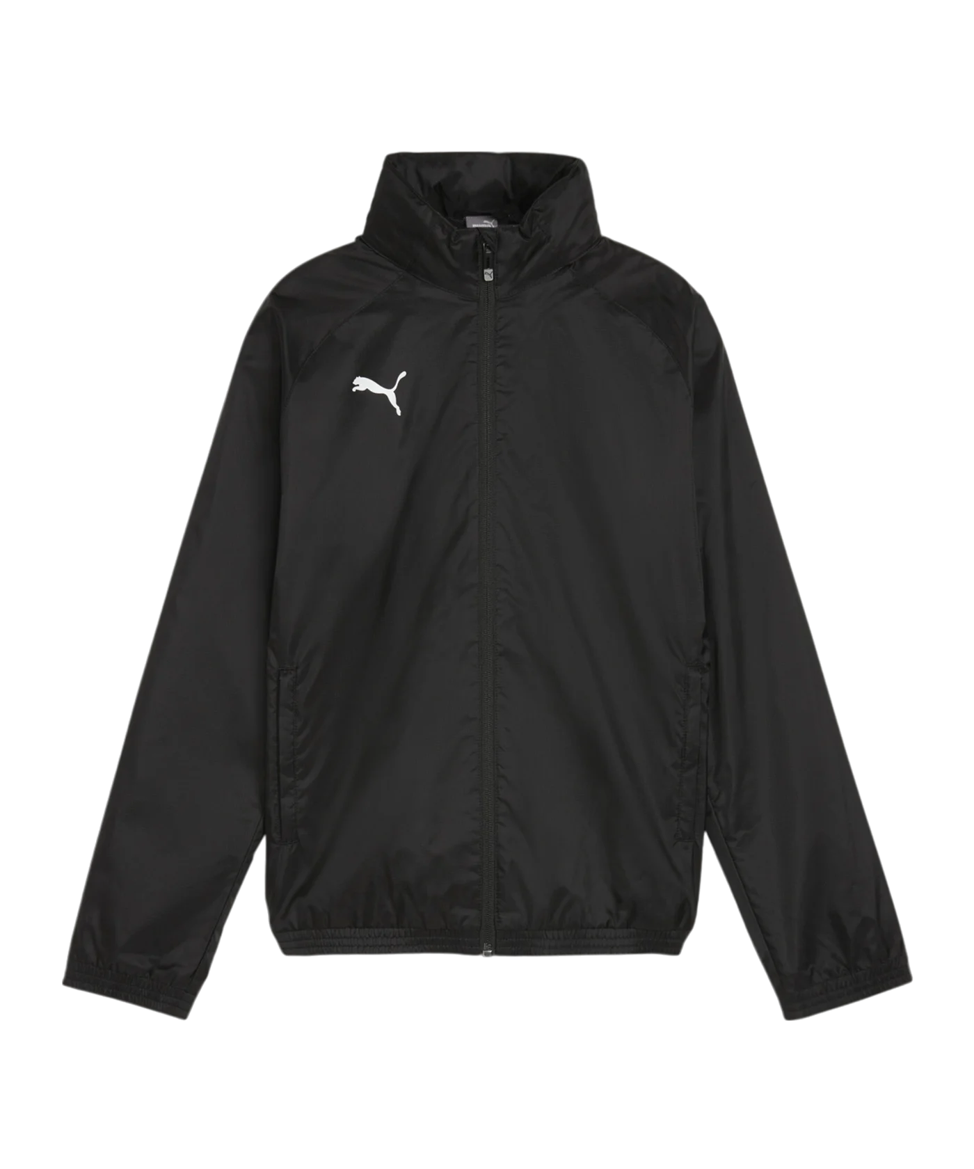 PUMA teamGOAL Allwetterjacke Kids Schwarz Weiss F03
