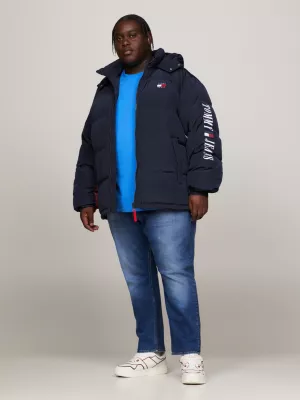 Bandeira de arquivo Alasca Puffer
