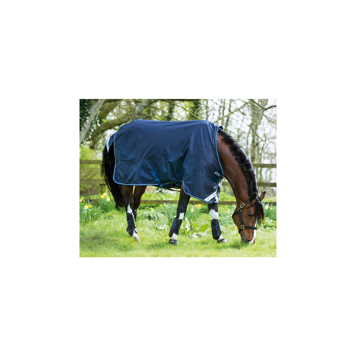 Horseware Outdoordecke AMIGO Bravo 12 Lite - navy