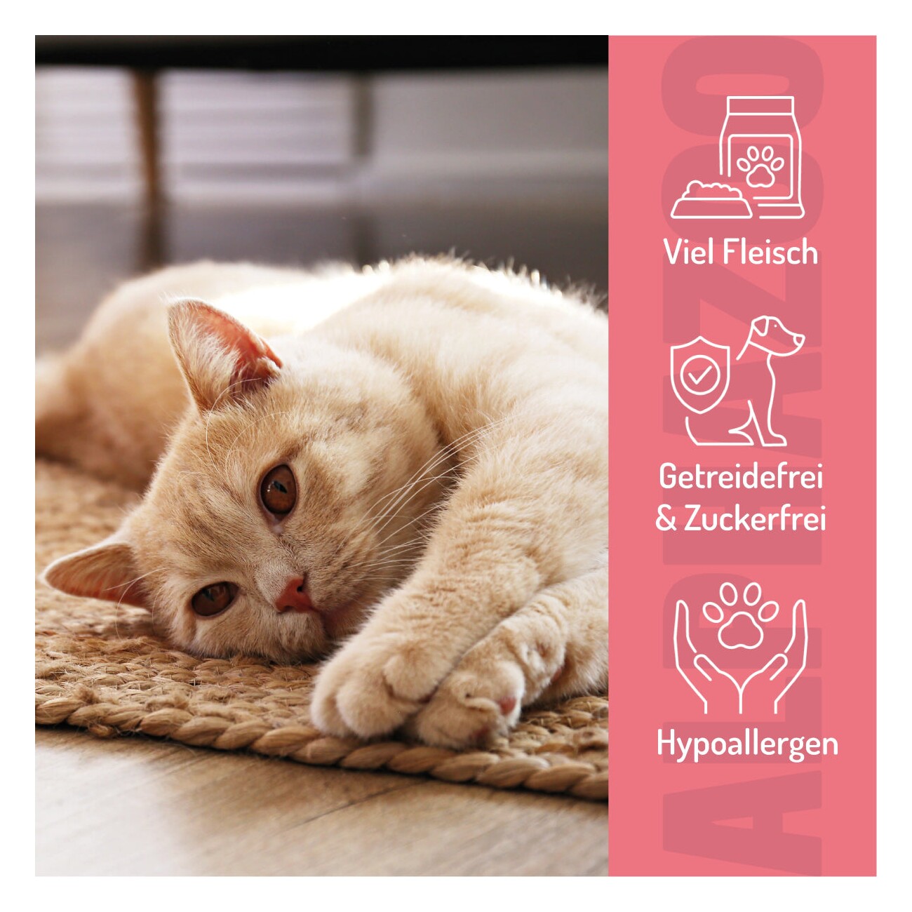 ALPHAZOO Pferdammt Lecker 65g I Leckerli für Katzen