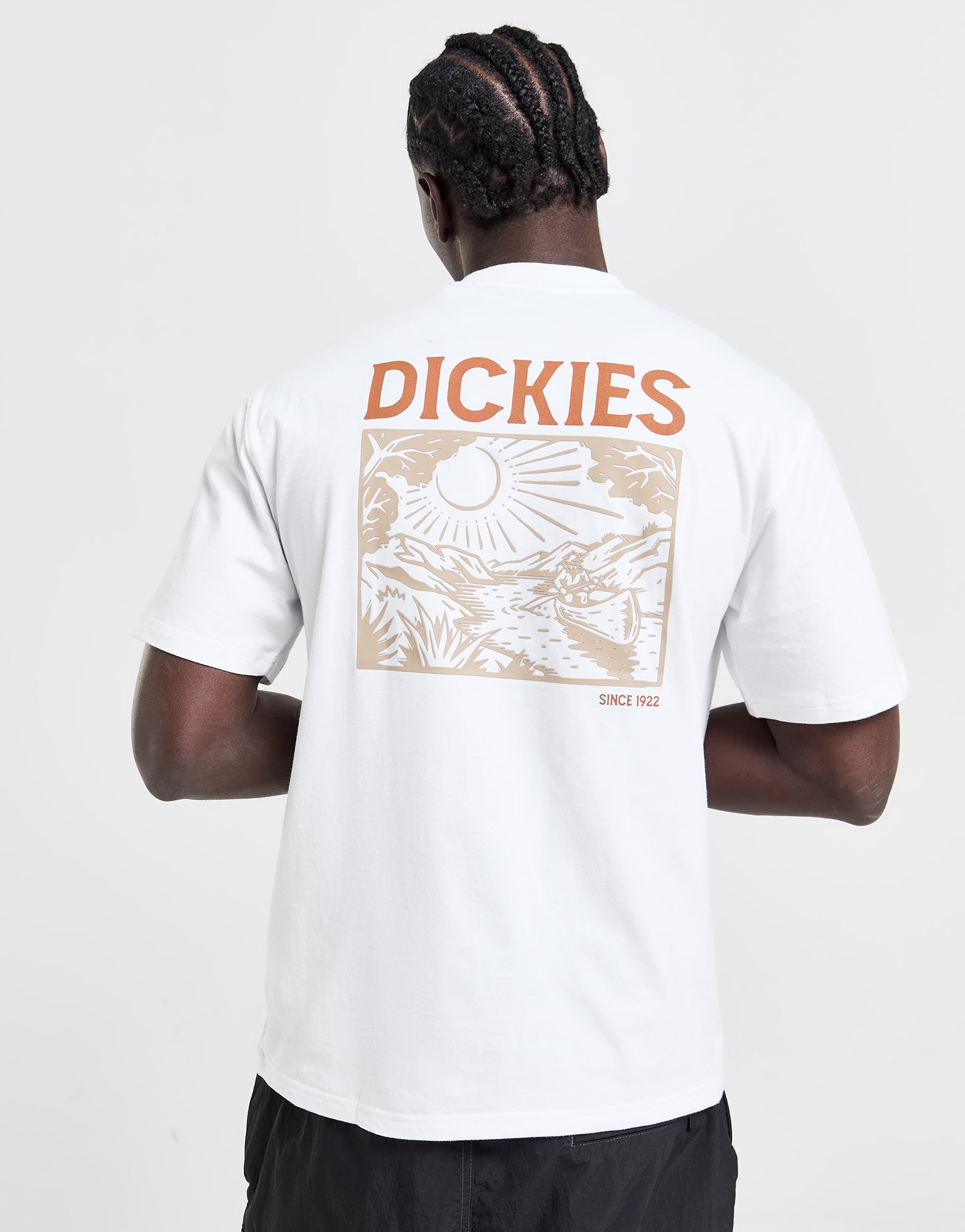 Dickies T-shirt Patrick Springs Homme