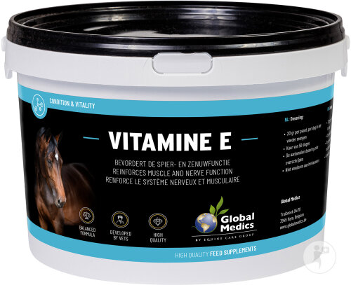 Global Medics Vitamine E Chevaux Poudre Pot 1kg