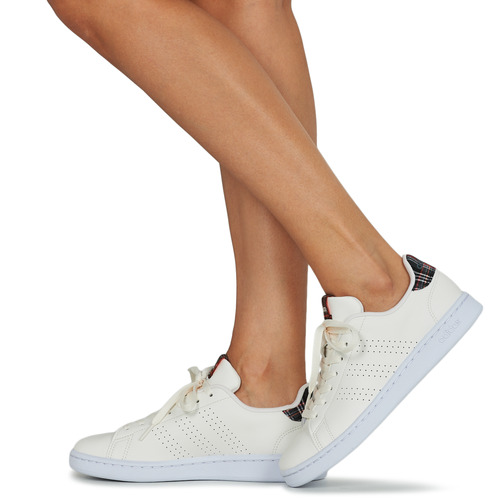 Adidas Sportswear - ADVANTAGE - Beige / Tartan