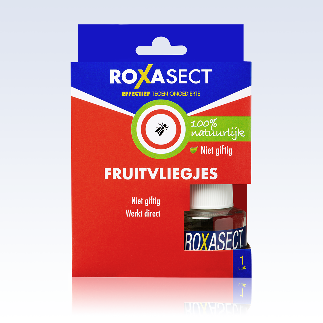 Roxasect Fruitvliegjes (1 stuk)