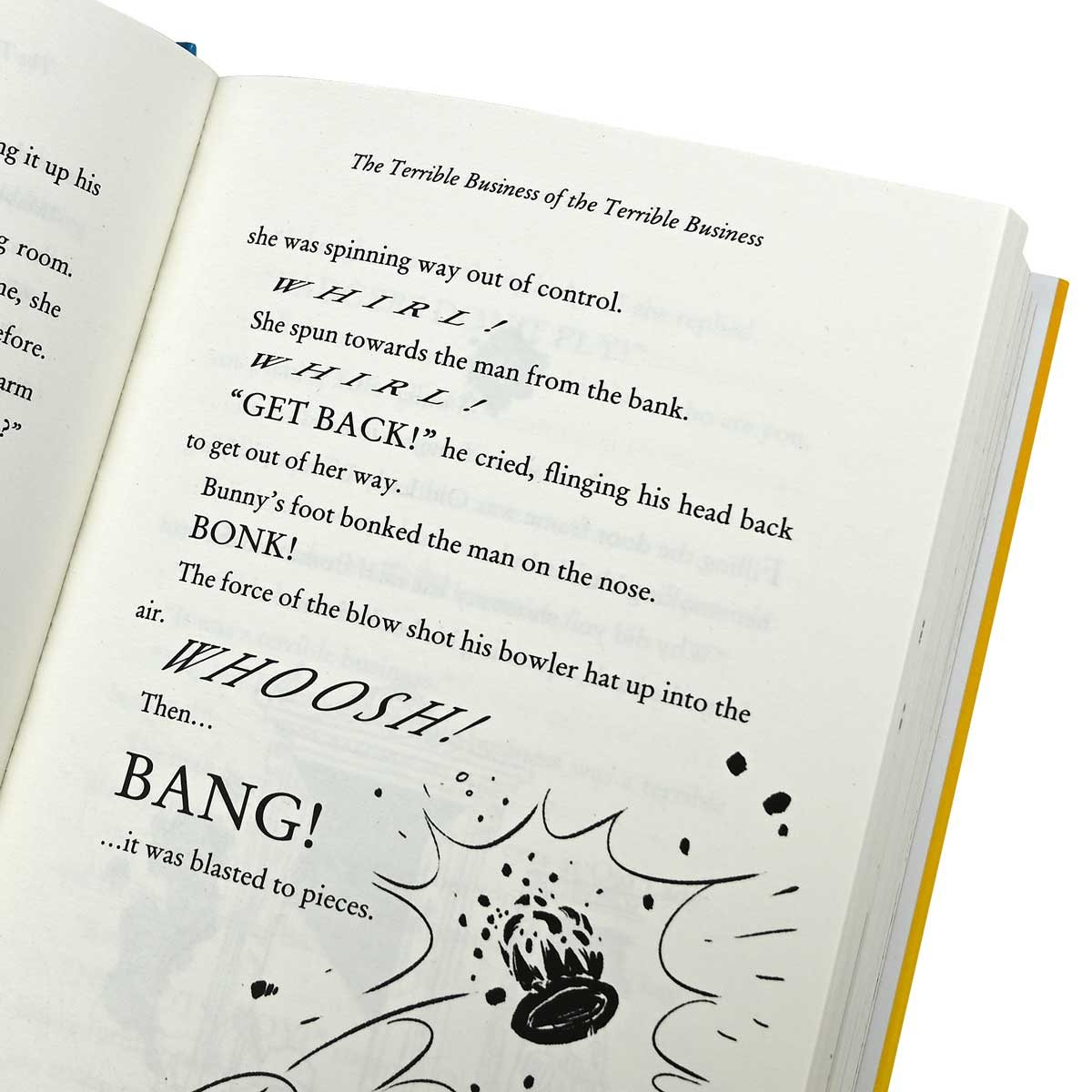 The Blunders (Hardback)