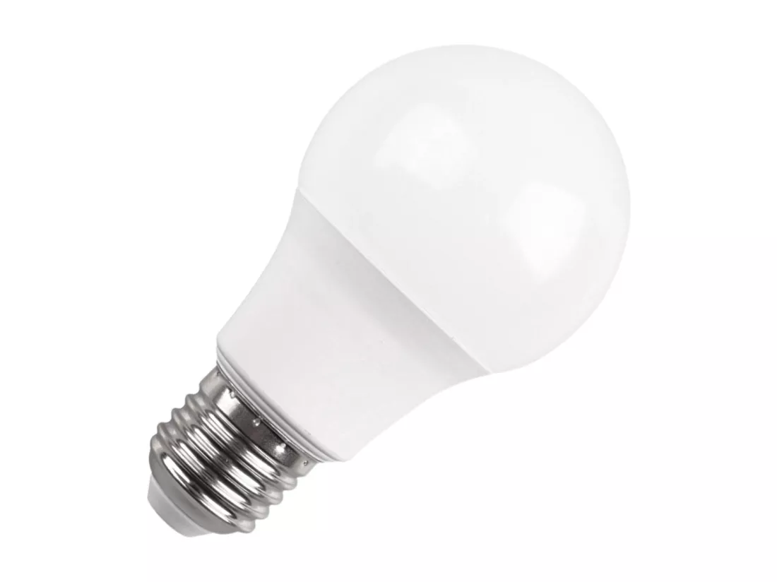 Pack 2 Ampoules LED Standard E27 16W Equi.100W 1521lm 15000H Raydan Home