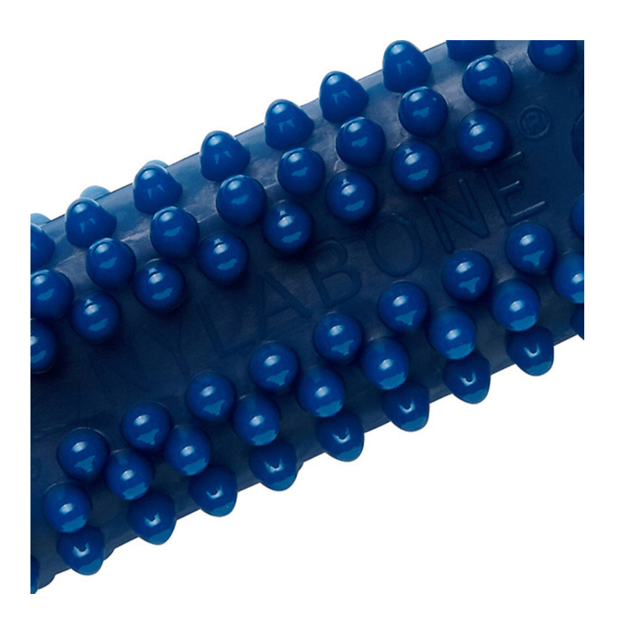 Osso mastigável dental Nylabone para cães