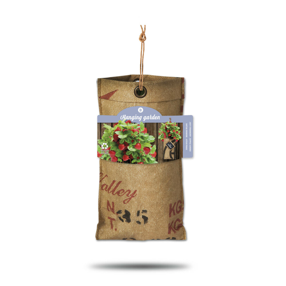 Baza Hangtuintjes Set Aardbeien1 set