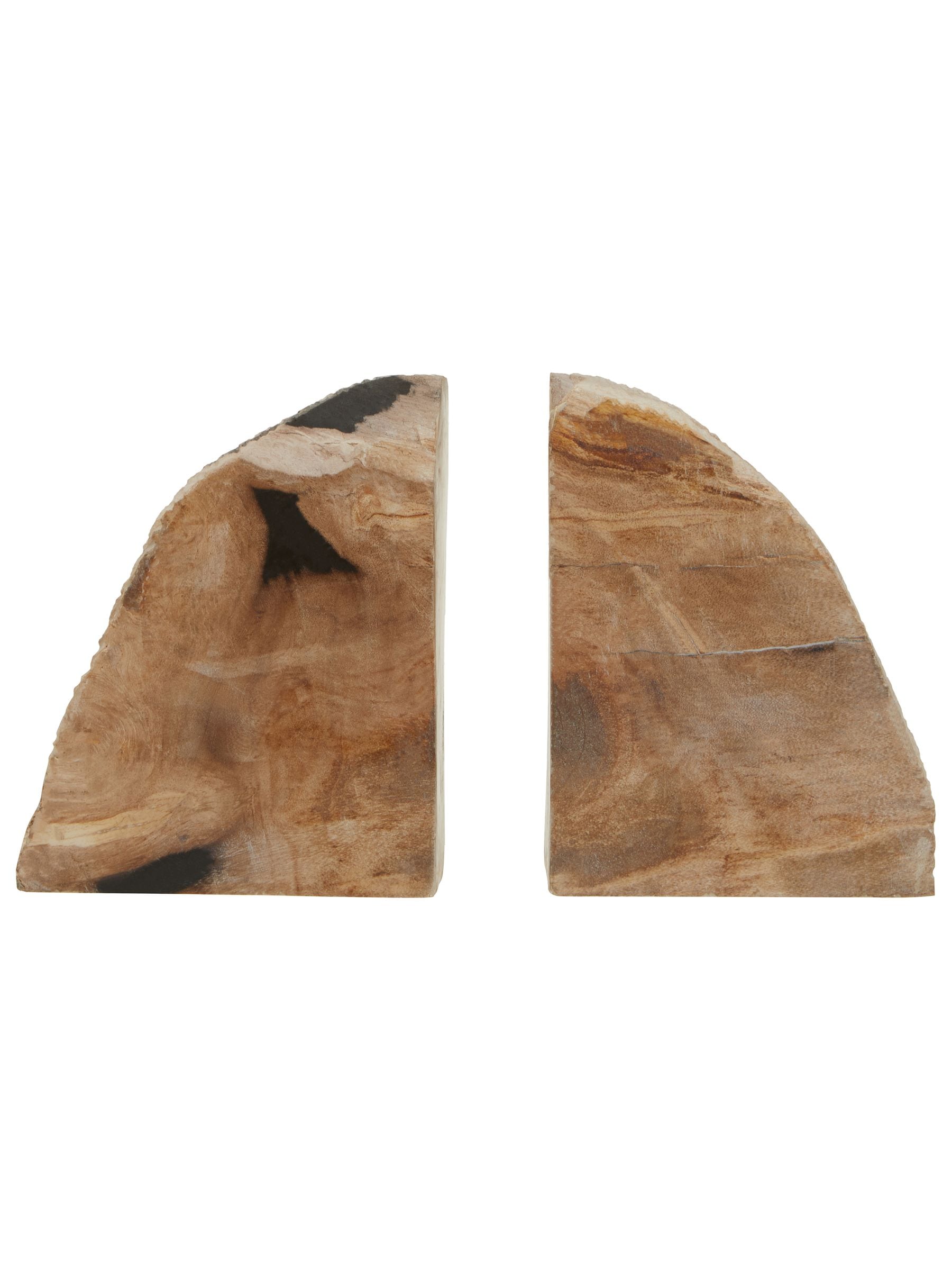Fifty Five South Relic Set Of 2 Petrified Wood Bookends