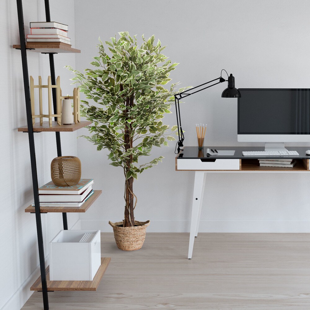 Kunstpflanze FICUS Kunststoff, Stoff hjh OFFICE