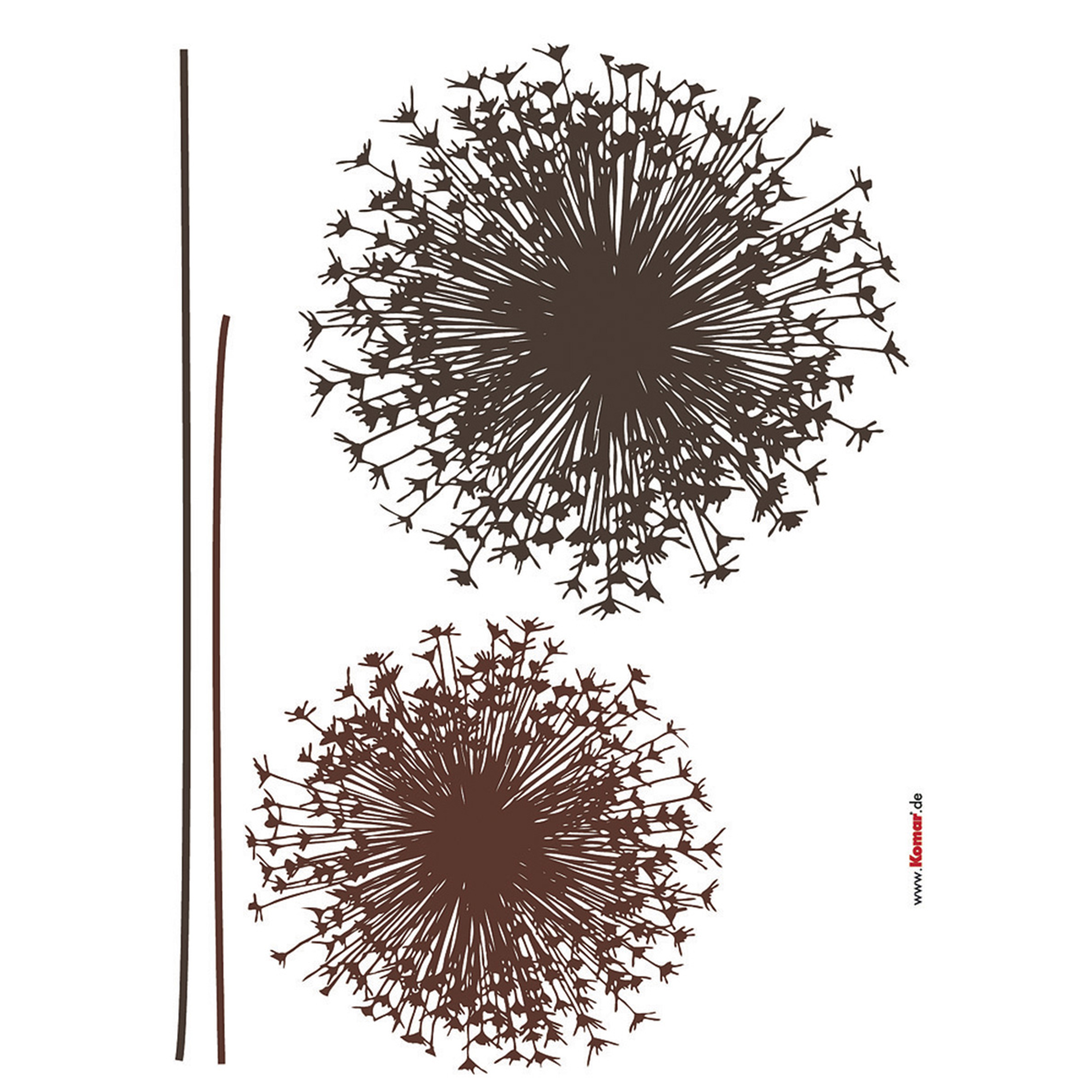 Wandtattoo PUSTEBLUME - braun - 50x70 cm