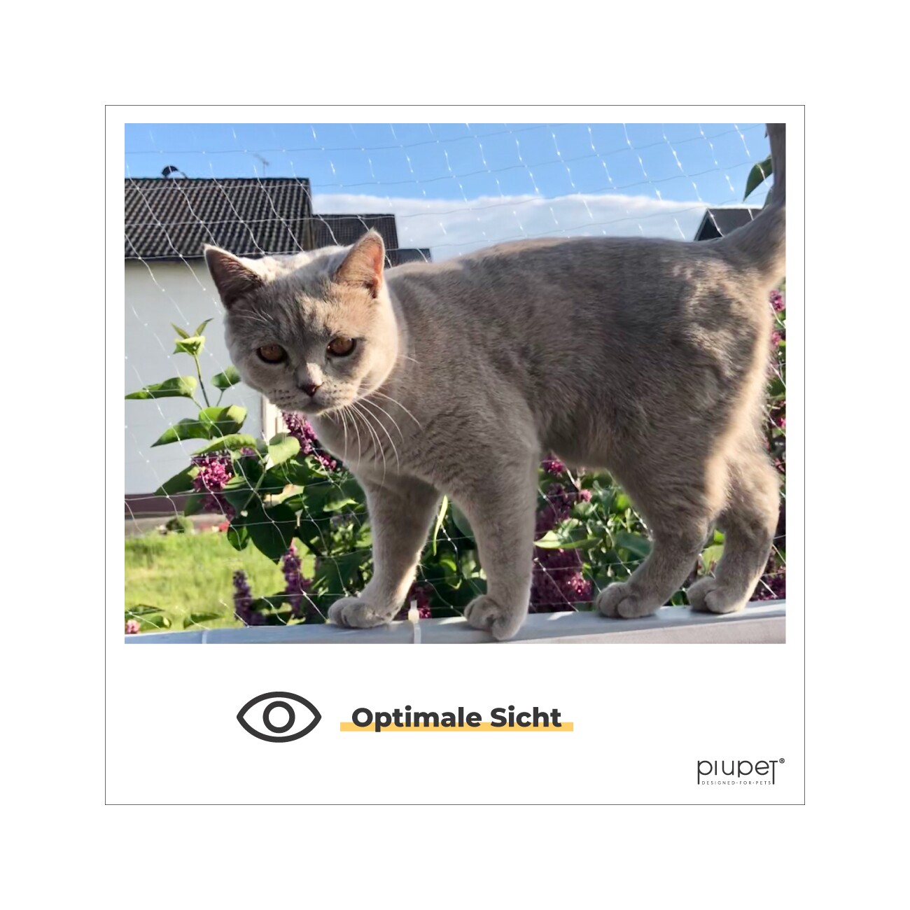 PIUPET Katzennetz transparent 3 x 4 m