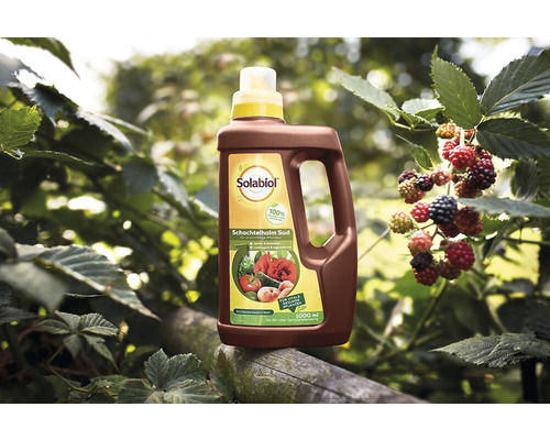 Plantenversterkende paardenstaartafkooksel Solabiol 1 L puur plantaardige ingrediënten