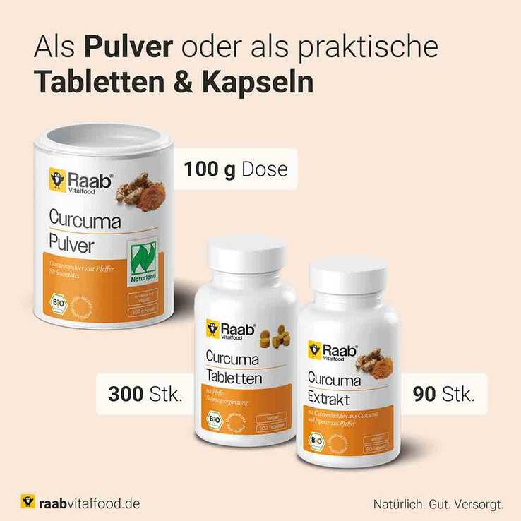 Raab Vitalfood Curcuma Extrakt Bio Kapseln, 90 St