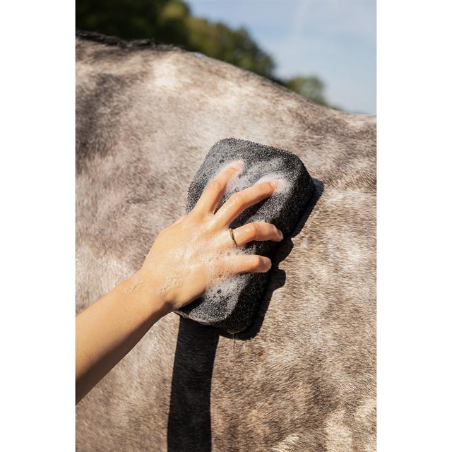 Spons QHP Equi Super Shiner Zwart