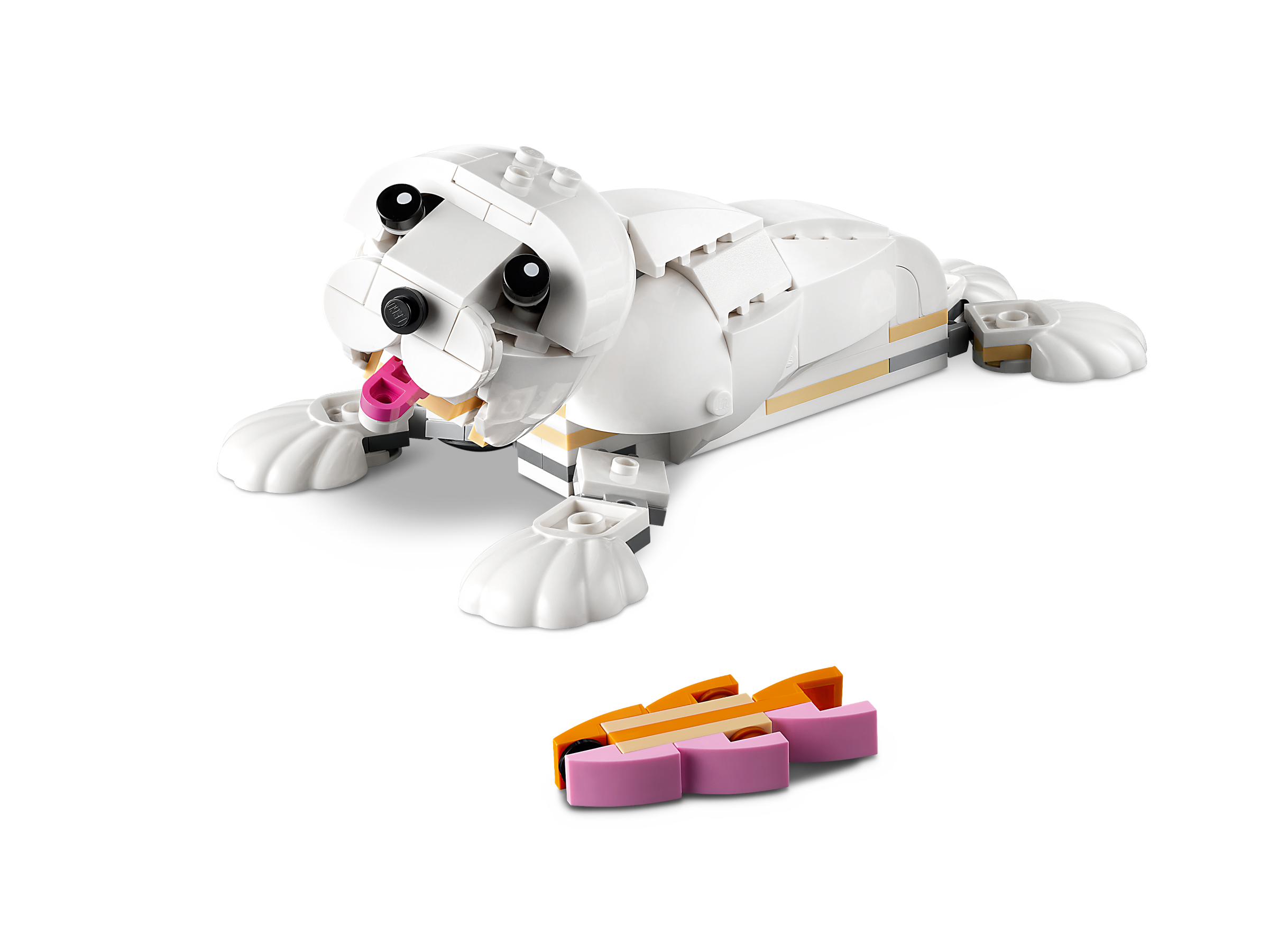 Coelho Branco 31133