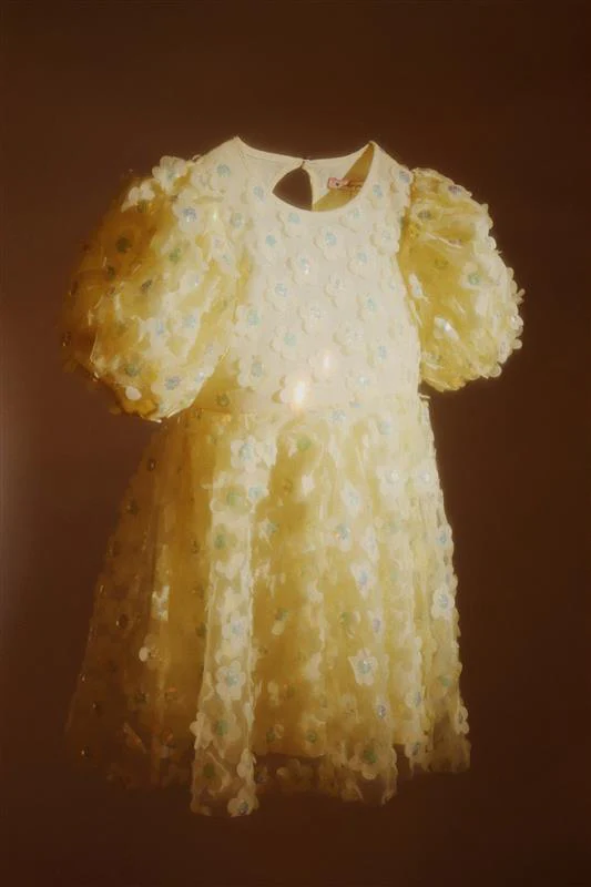 Sally kjole - fairy butter flower - 2Y