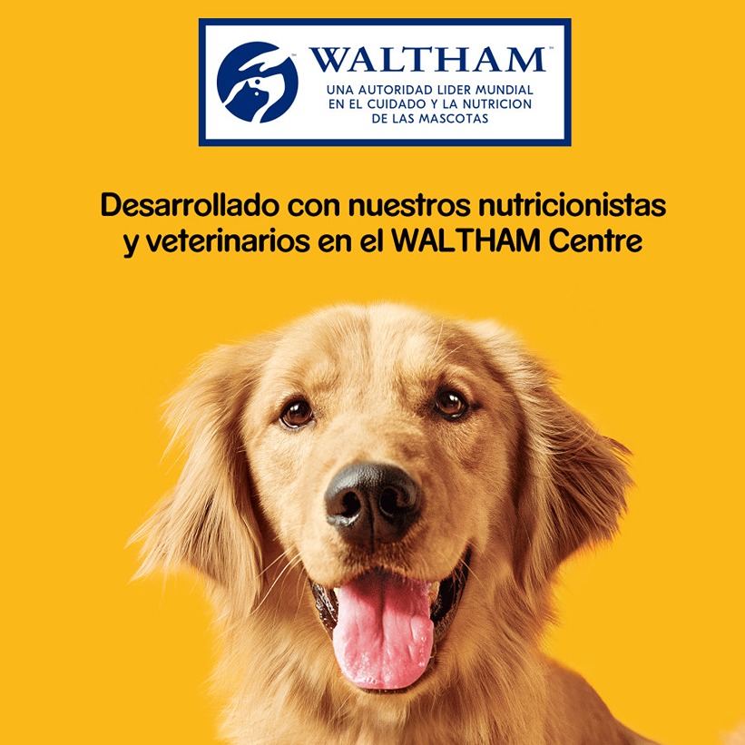 Biscoitos Pedigree Markies para Cães