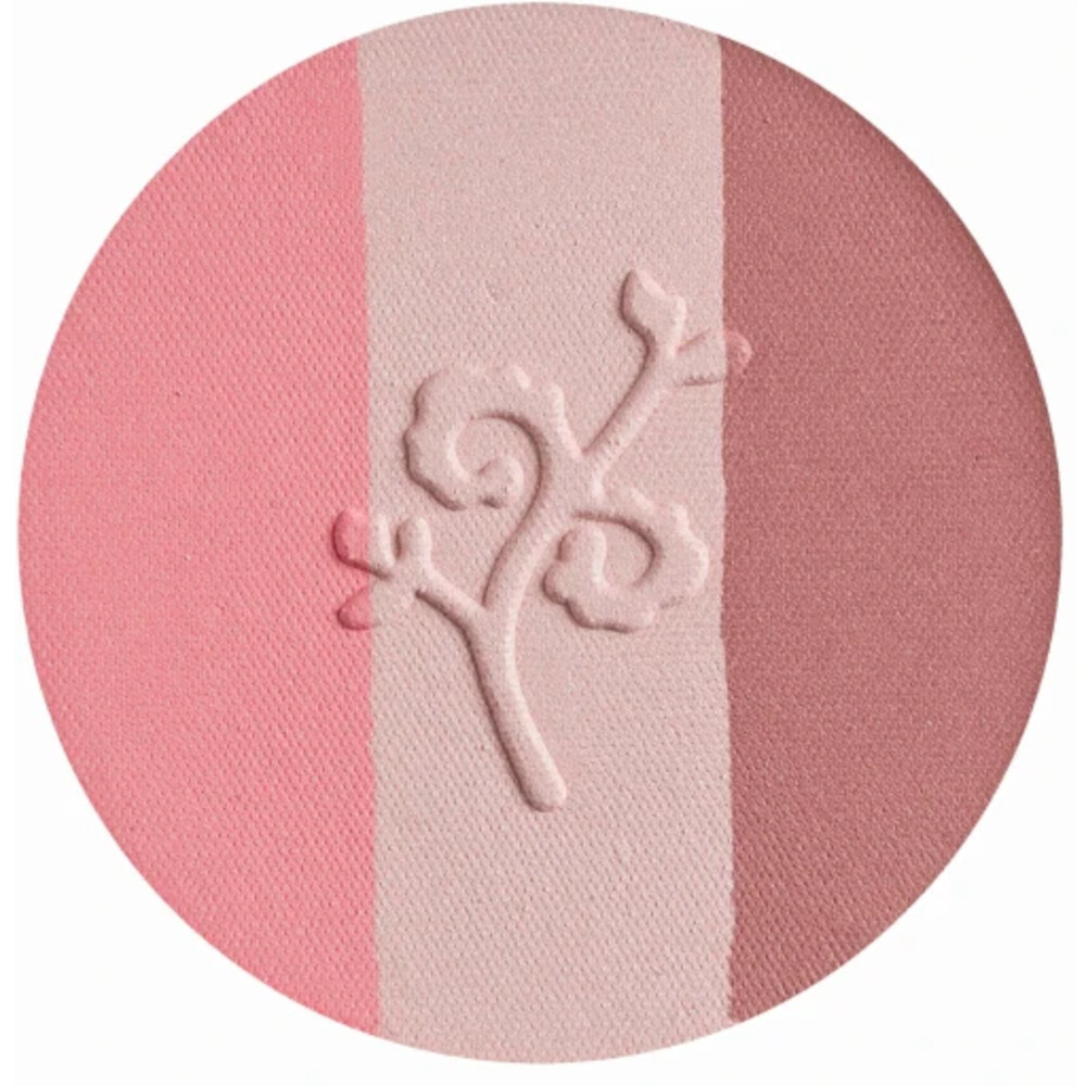 Benecos Natuurlijke Blush Trio Fall in Love5 gr