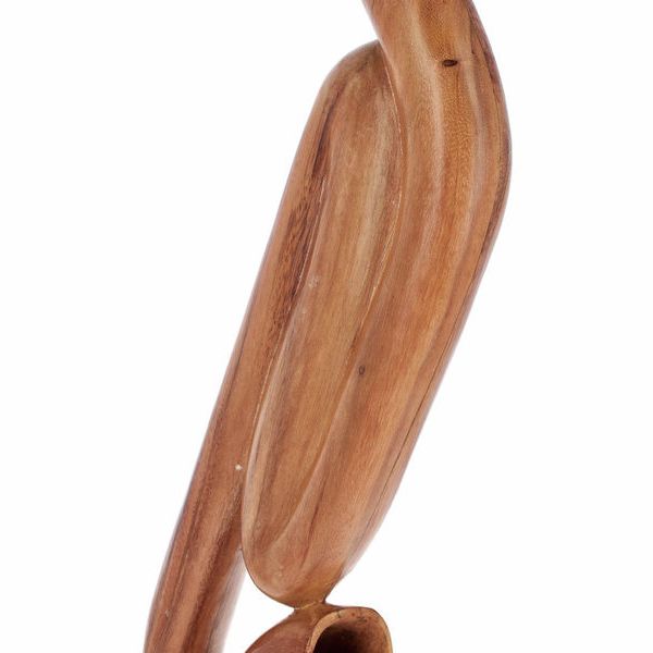 Thomann Saxophone Didge Proline C#
