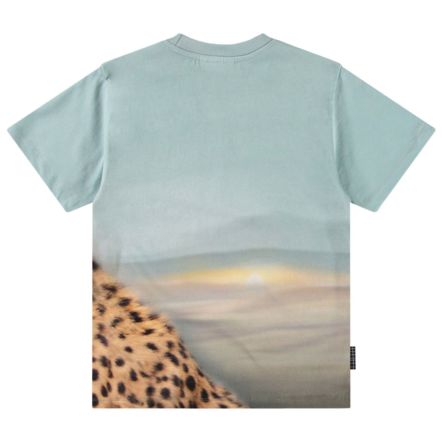 Rubin - Big Cheetah Blue