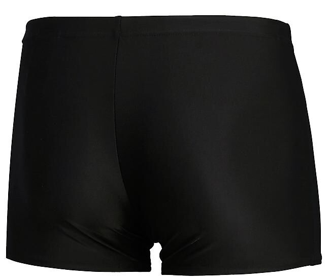 SPEEDO - MEDLEY LOGO AQUASHORTS