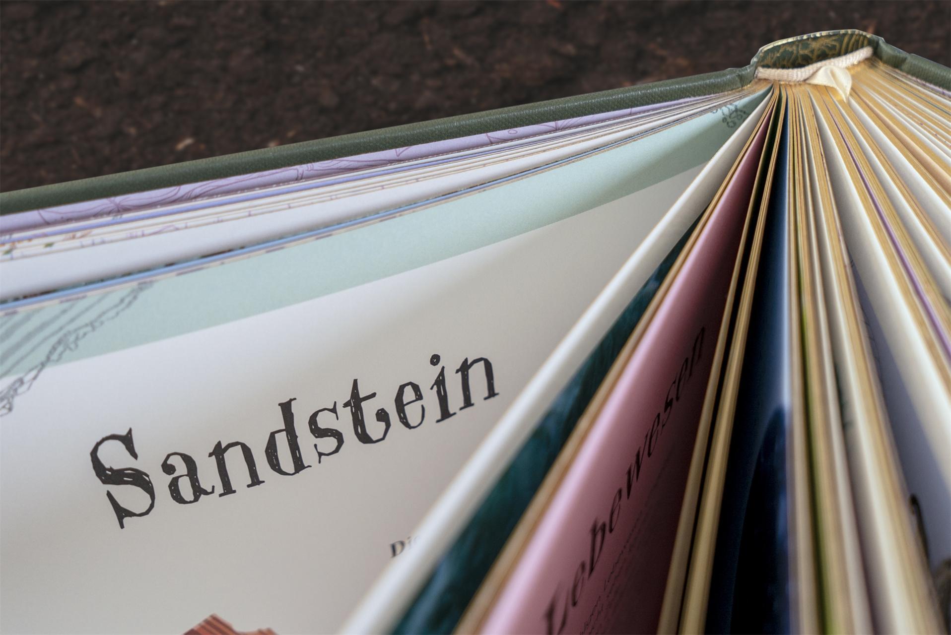 Wundervolle Welt der Natur / Wundervolle Welt Bd.2