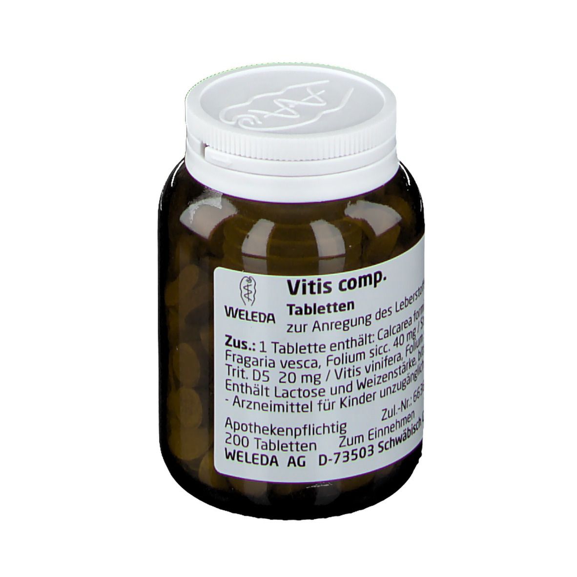 Vitis comp.