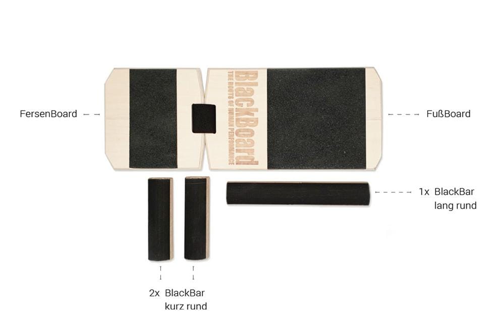 Balance Board Professional<br>BlackBoard Training System