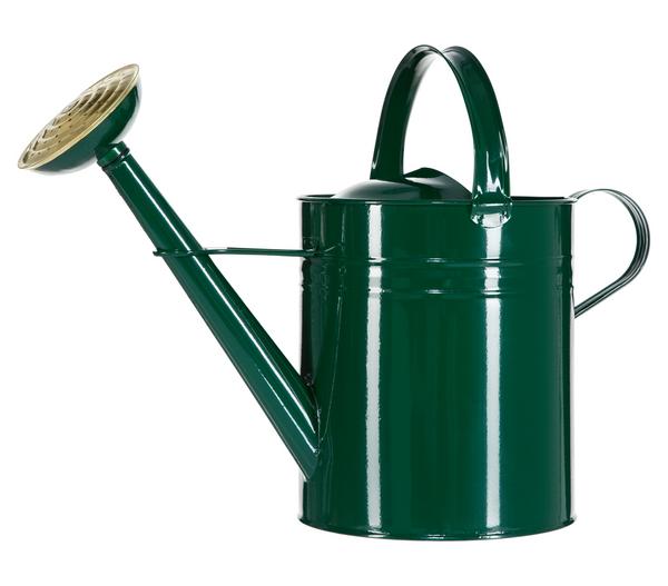 Dehner Zink-Gießkanne, 9 l, grün