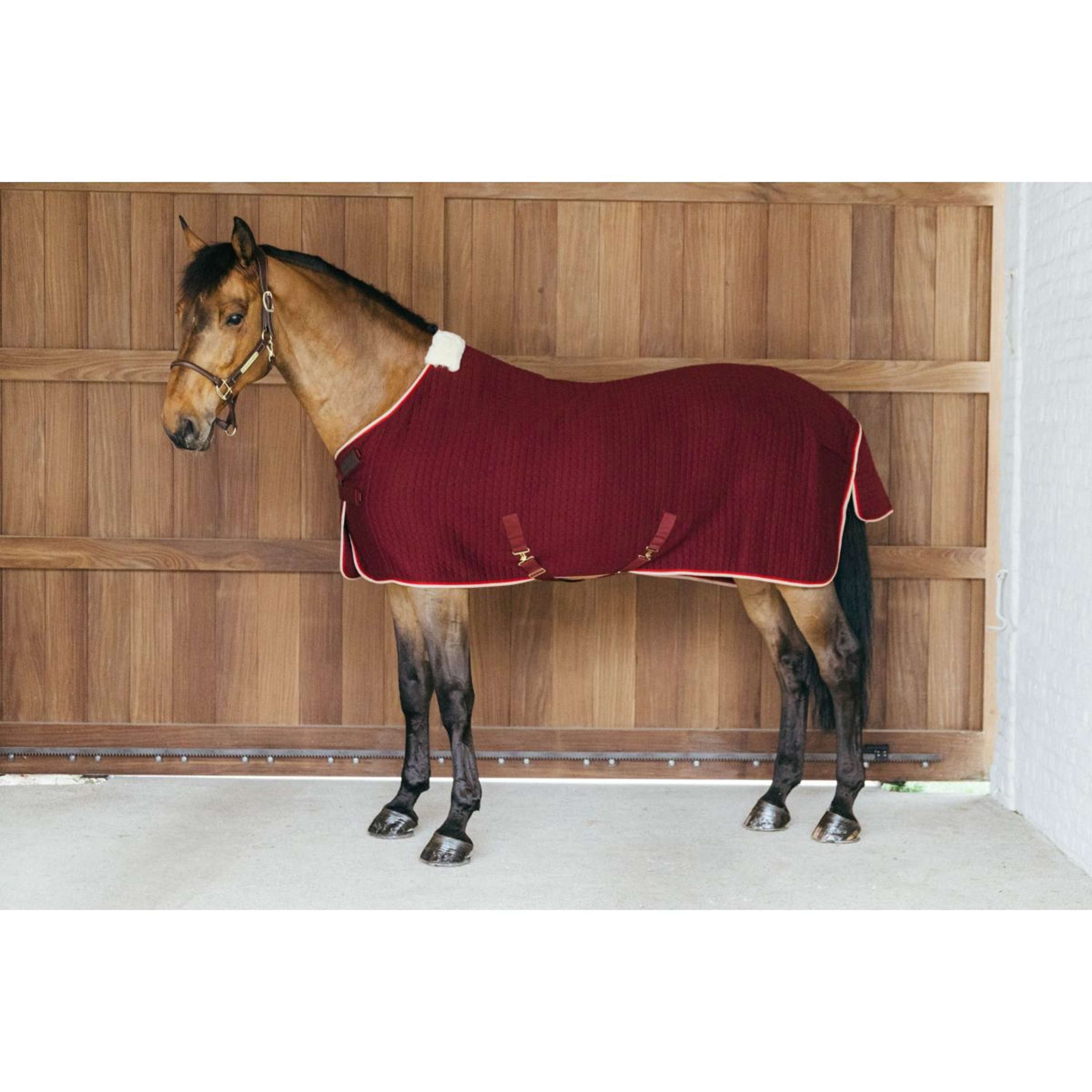 Kentucky Cooler PROTherm Bordeaux